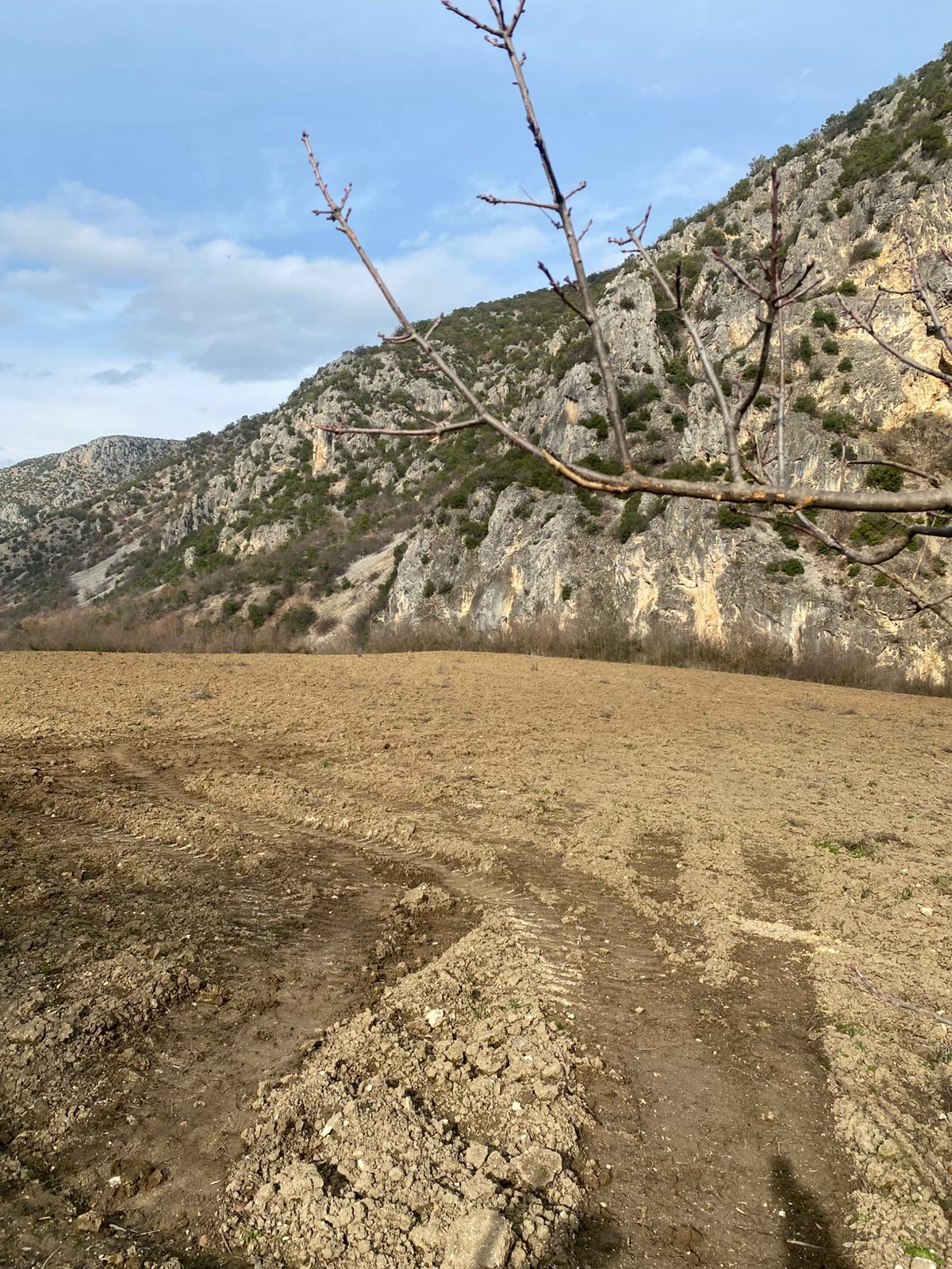 MABEL'DEN FIRSAT YATIRIMLIK DEV ARAZİ